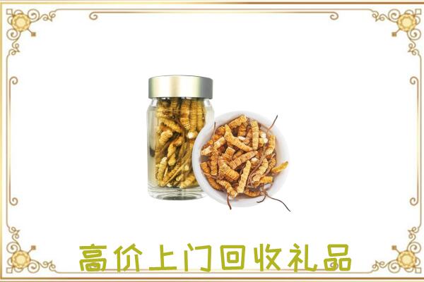 阿拉善左旗周边回收虫草
